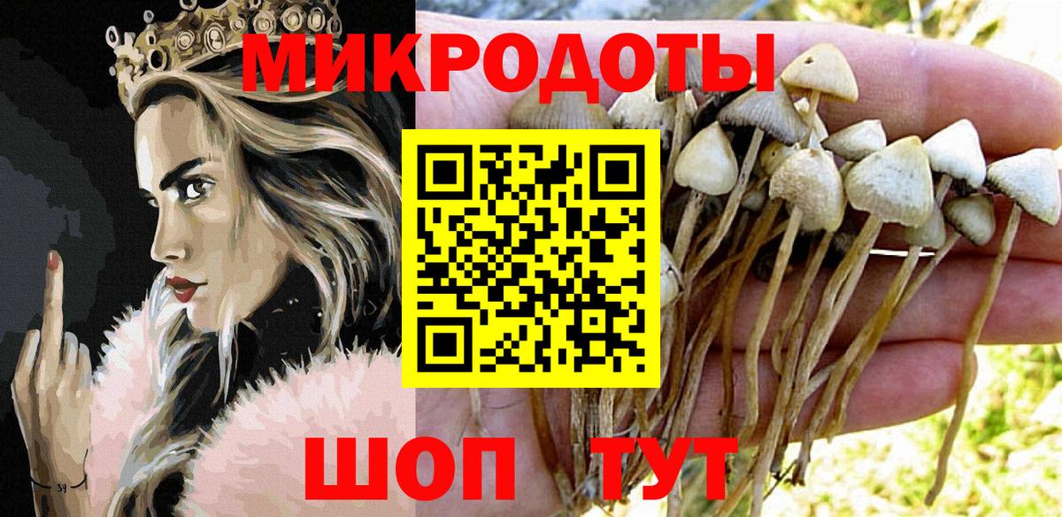 Галлюциногенные грибы Cubensis  Вход с VPN  Норильск 